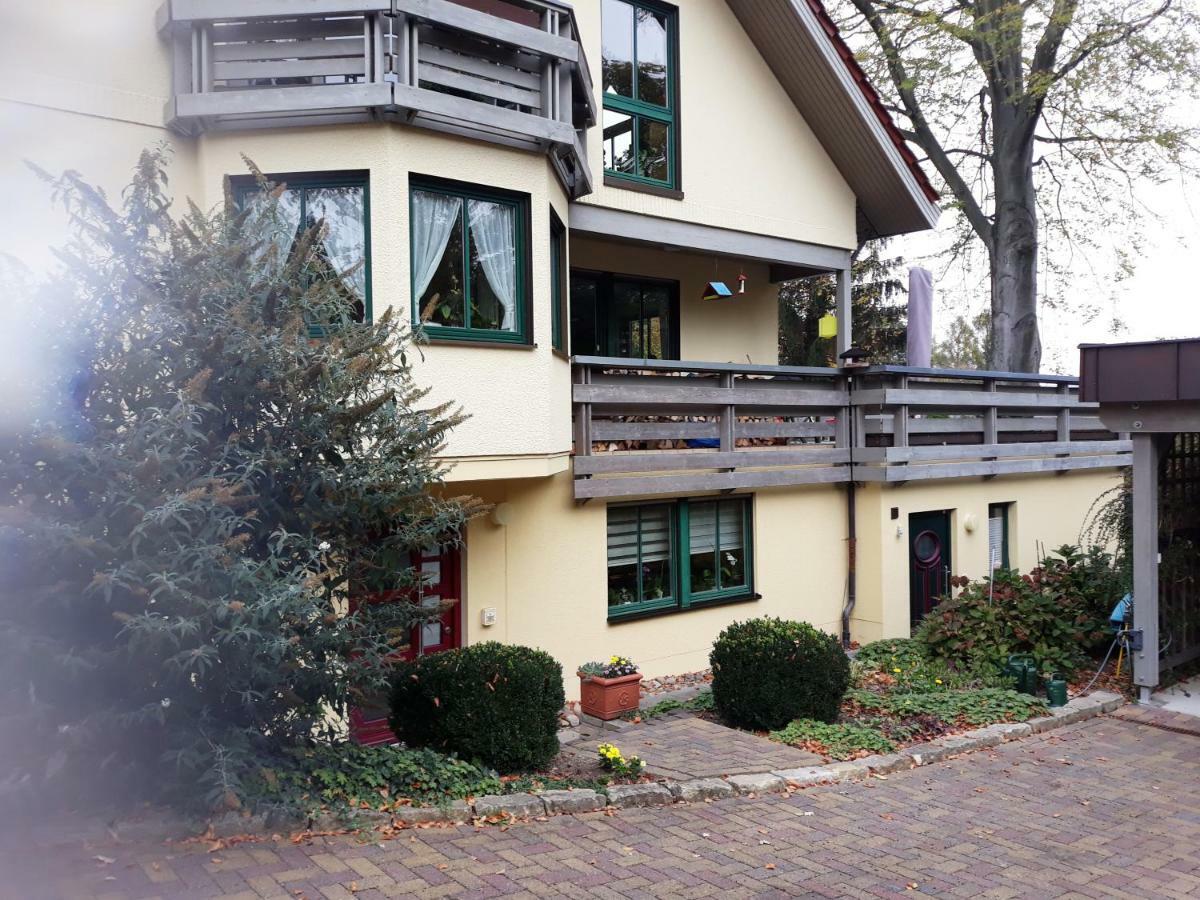 Ferienwohnung Oberloschwitz Δρέσδη Εξωτερικό φωτογραφία