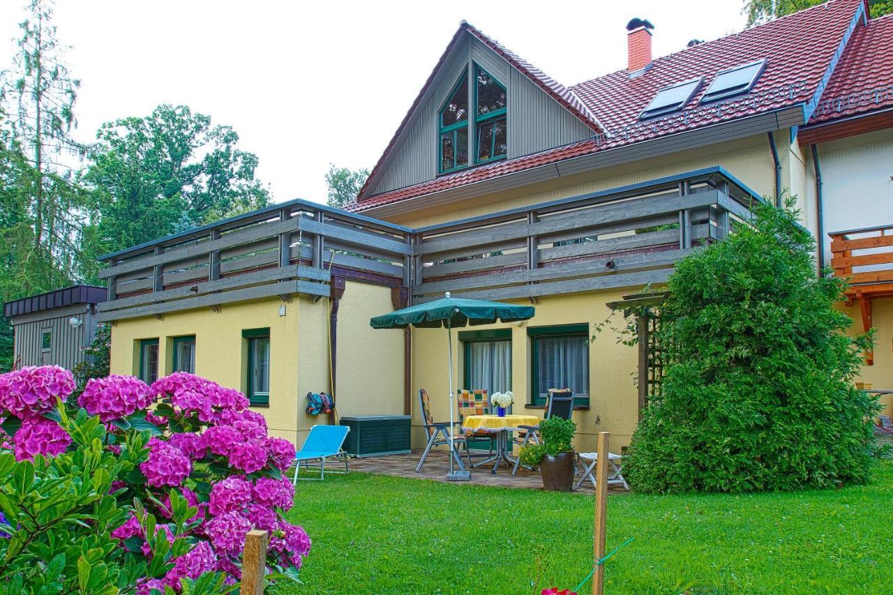Ferienwohnung Oberloschwitz Δρέσδη Εξωτερικό φωτογραφία
